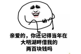豪沃汽车金融催收:策略与实践 豪沃汽车金融催收:策略与实践
